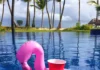 GoFloats Floatmingo Drink Holder