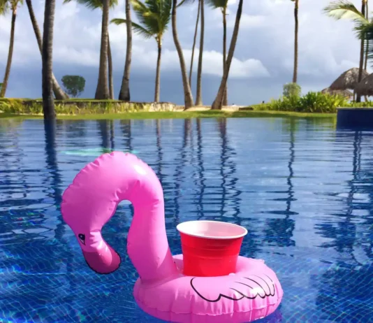 GoFloats Floatmingo Drink Holder