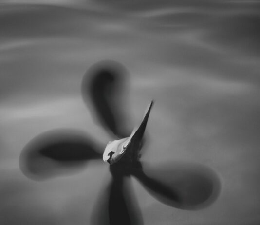 what prevents most propeller strikes 2