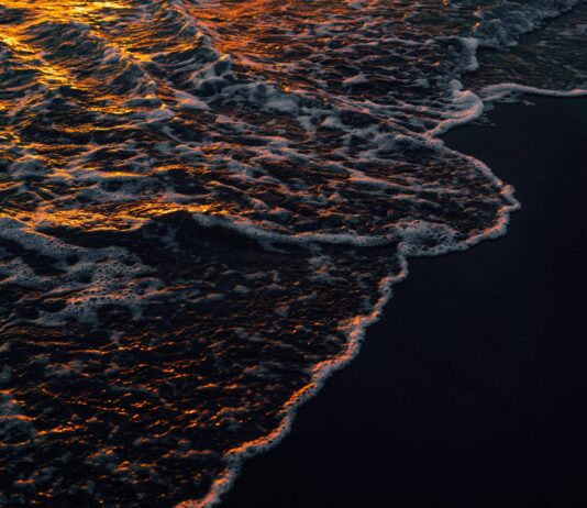 Where Should I Put My Phone At The Beach? where should i put my phone at the beach 3