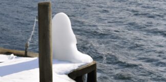 can you leave a floating dock in all winter