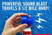 Air Horn Can for Boating Review